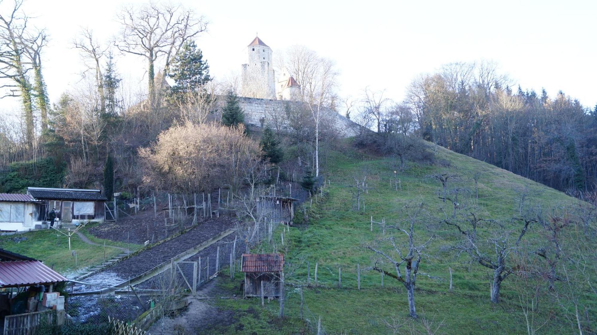 Landgasthof Falken Huttlingen Quarto foto